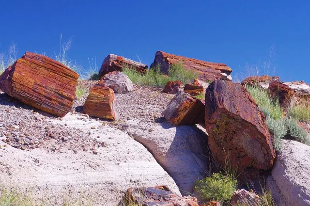 wollastonite1
