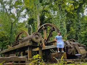 LHD Cutting Type Pulverizer
